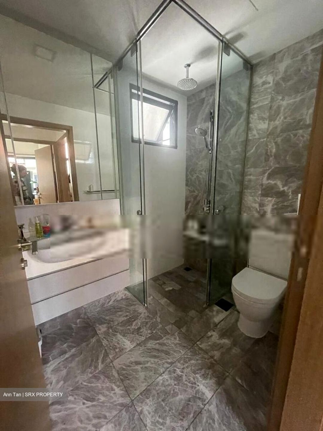 The Lush (D15), Apartment #627367051